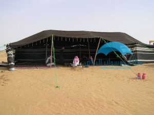 بيوت شعر ملكي