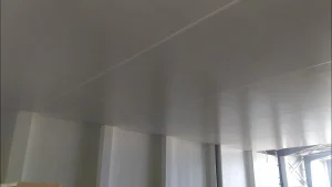 سندويتش بنل